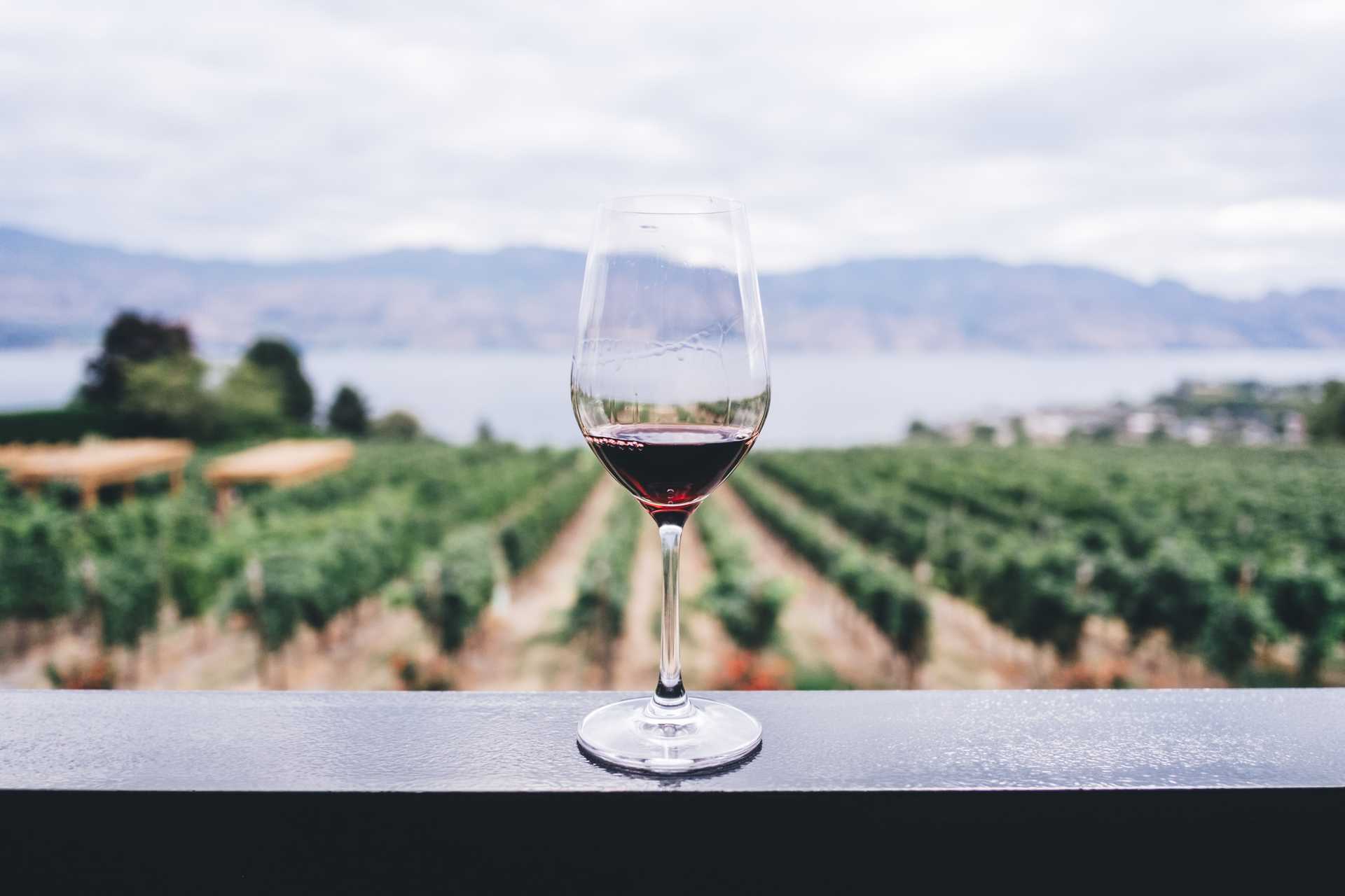 Domaine Exocep